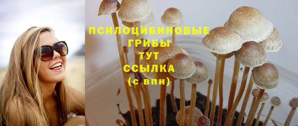 прущая мука Нягань