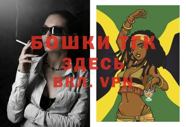 МДПВ Пересвет